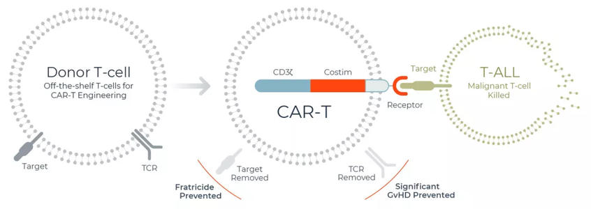 TCRT 和 CART癌症免疫疗法