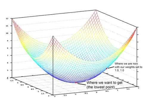 Loss Function