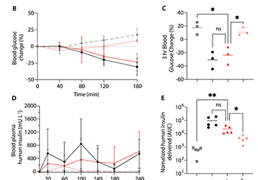 Pain-free oral delivery of biologic drugs using intestinal peristalsis–actuated microneedle robots