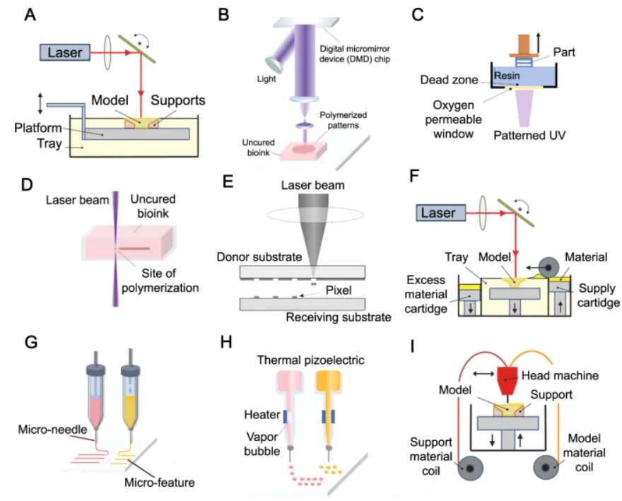 3D nanofabricated soft microrobots with super-compliant picoforce springs as onboard sensors and act