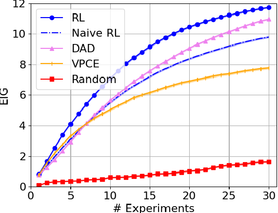 Optimizing Sequential Experimental Design with Deep Reinforcement Learning