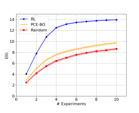 Optimizing Sequential Experimental Design with Deep Reinforcement Learning