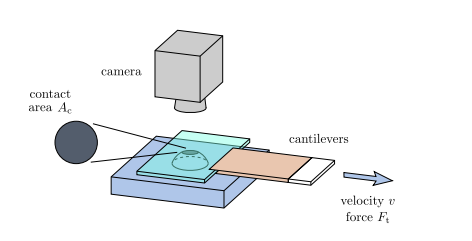 Advanced Computational Models for the Analysis of Adhesive Friction